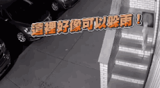 下楼发现客厅多一只狗狗,查监控才发现,原来了回家的时候没有关好门,瘸腿流浪狗为了躲雨闯进屋内取暖